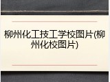 柳州化工技工学校图片(柳州化校图片)