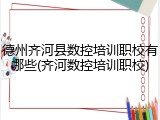 德州齐河县数控培训职校有哪些(齐河数控培训职校)