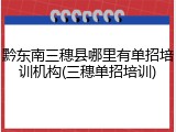 黔东南三穗县哪里有单招培训机构(三穗单招培训)