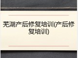 芜湖产后修复培训(产后修复培训)