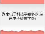 湖南电子科技学费多少(湖南电子科技学费)