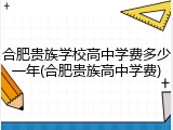 合肥贵族学校高中学费多少一年(合肥贵族高中学费)