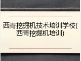 西青挖掘机技术培训学校(西青挖掘机培训)