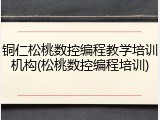 铜仁松桃数控编程教学培训机构(松桃数控编程培训)