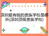深圳最有钱的贵族学校是哪所(深圳顶级贵族学校)