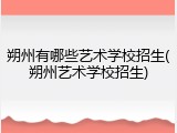 朔州有哪些艺术学校招生(朔州艺术学校招生)