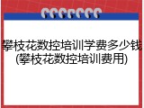 攀枝花数控培训学费多少钱(攀枝花数控培训费用)