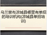 乌兰察布凉城县哪里有单招的培训机构(凉城县单招培训)
