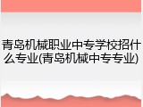青岛机械职业中专学校招什么专业(青岛机械中专专业)