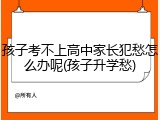 孩子考不上高中家长犯愁怎么办呢(孩子升学愁)