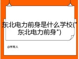 东北电力前身是什么学校("东北电力前身")