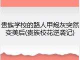 贵族学校的路人甲炮灰突然变美后(贵族校花逆袭记)
