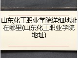 山东化工职业学院详细地址在哪里(山东化工职业学院地址)