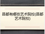 昌都有哪些艺术院校(昌都艺术院校)