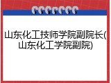 山东化工技师学院副院长(山东化工学院副院)
