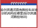 哈尔滨通河县有数控车床培训机构吗在哪里(哈尔滨通河数控培训)