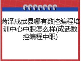 菏泽成武县哪有数控编程培训中心中职怎么样(成武数控编程中职)