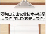 双鸭山宝山农业技术学校是大专吗(宝山农校是大专吗)