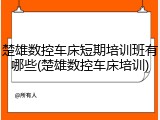 楚雄数控车床短期培训班有哪些(楚雄数控车床培训)