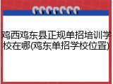 鸡西鸡东县正规单招培训学校在哪(鸡东单招学校位置)