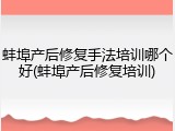 蚌埠产后修复手法培训哪个好(蚌埠产后修复培训)