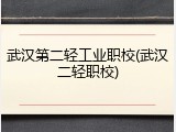 武汉第二轻工业职校(武汉二轻职校)