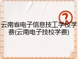 云南省电子信息技工学校学费(云南电子技校学费)