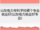 山东电力专科学校哪个专业就业好(山东电力就业好专业)