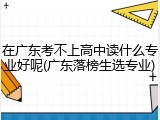 在广东考不上高中读什么专业好呢(广东落榜生选专业)