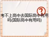 考不上高中去国际高中有用吗(国际高中有用吗)
