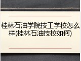 桂林石油学院技工学校怎么样(桂林石油技校如何)