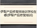 伊犁产后修复师培训学校在哪(伊犁产后修复培训)