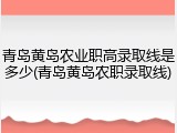 青岛黄岛农业职高录取线是多少(青岛黄岛农职录取线)