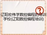 辽阳宏伟学数控编程的培训学校(辽阳数控编程培训)