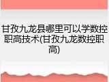 甘孜九龙县哪里可以学数控职高技术(甘孜九龙数控职高)