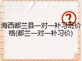 海西都兰县一对一补习班价格(都兰一对一补习价)