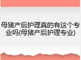 母猪产后护理真的有这个专业吗(母猪产后护理专业)