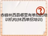 赤峰林西县哪里有单招的培训机构(林西单招培训)