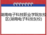 湖南电子科技职业学院东校区(湖南电子科技东校)