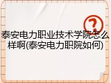 泰安电力职业技术学院怎么样啊(泰安电力职院如何)