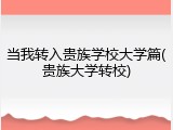 当我转入贵族学校大学篇(贵族大学转校)