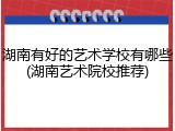 湖南有好的艺术学校有哪些(湖南艺术院校推荐)