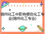 锦州化工中职有哪些化工专业(锦州化工专业)