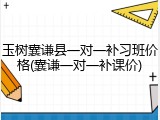 玉树囊谦县一对一补习班价格(囊谦一对一补课价)