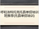 呼和浩特托克托县单招培训班推荐(托县单招培训)