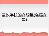 贵族学校的女明星(名媛女星)