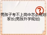 男孩子考不上高中怎么规划家长(男孩升学规划)