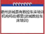德州武城县有数控车床培训机构吗在哪里(武城数控车床培训)