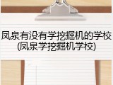 凤泉有没有学挖掘机的学校(凤泉学挖掘机学校)