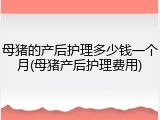 母猪的产后护理多少钱一个月(母猪产后护理费用)